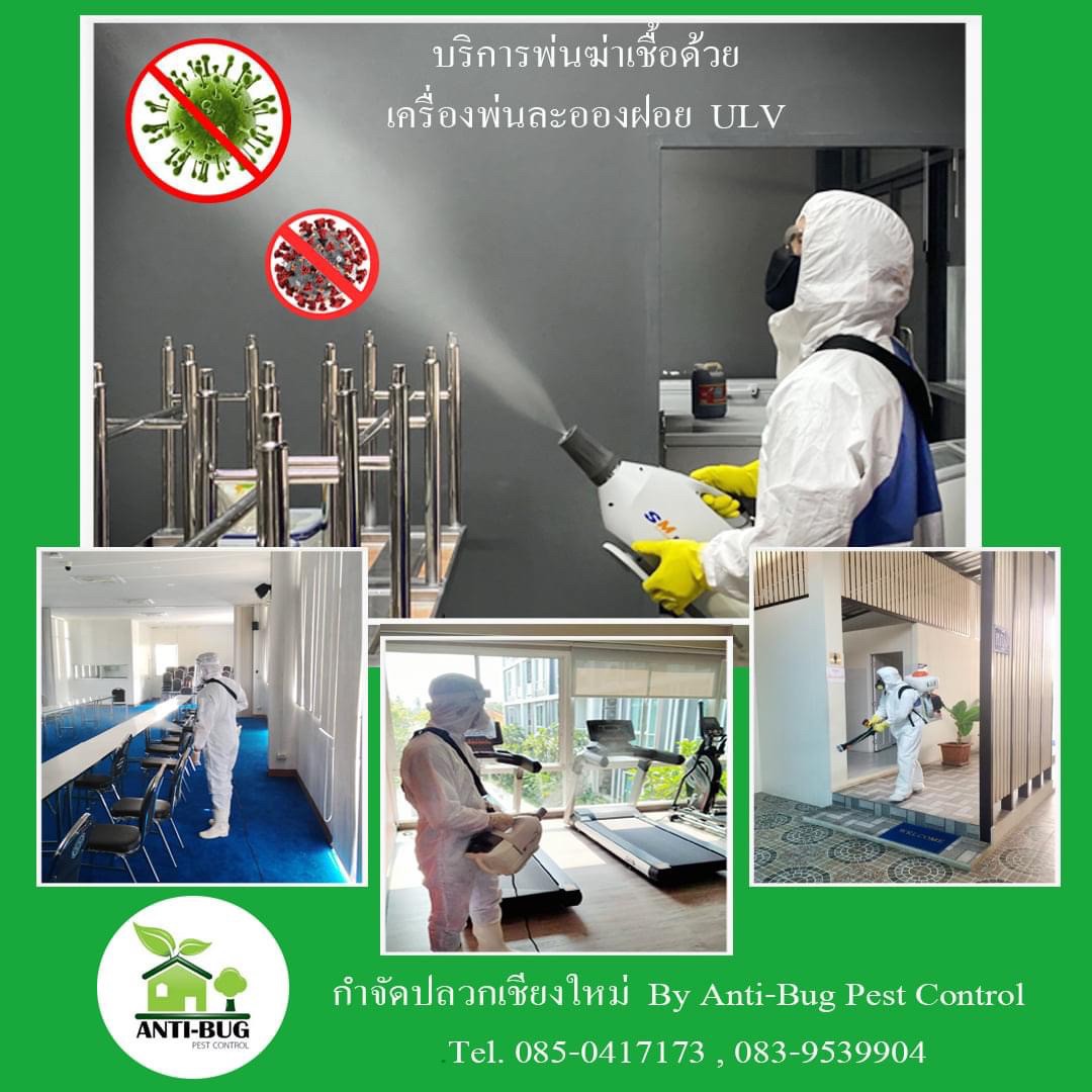 LINE_ALBUM_221213_32.jpg - บริการกำจัดปลวก มด แมลงสาบ หนูและยุง | https://antibuggroup.com