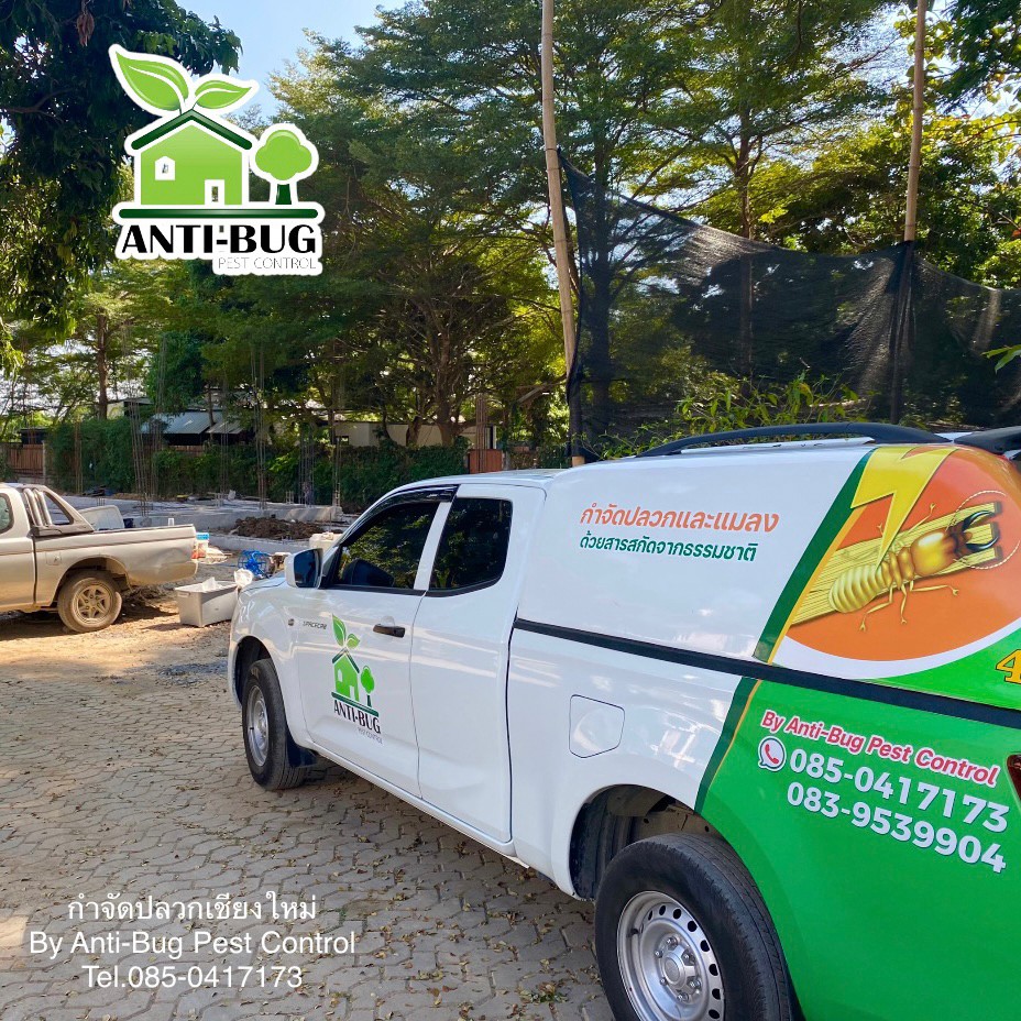 1 - https://antibuggroup.com | Anti-Bug Pest Control group -  หยุดปลวกร้าย ด้วยสารสกัดจากธรรมชาติ ด้วยประสบการณ์มากกว่า 10 ปี โดยใช้สารสกัดจากธรรมชาติ ไร้กลิ่นและสารเคมีตกค้าง ไม่เป็นอันตรายต่อผู้อยู่อาศัยและสัตว์เลี้ยงแสนรักของคุณ