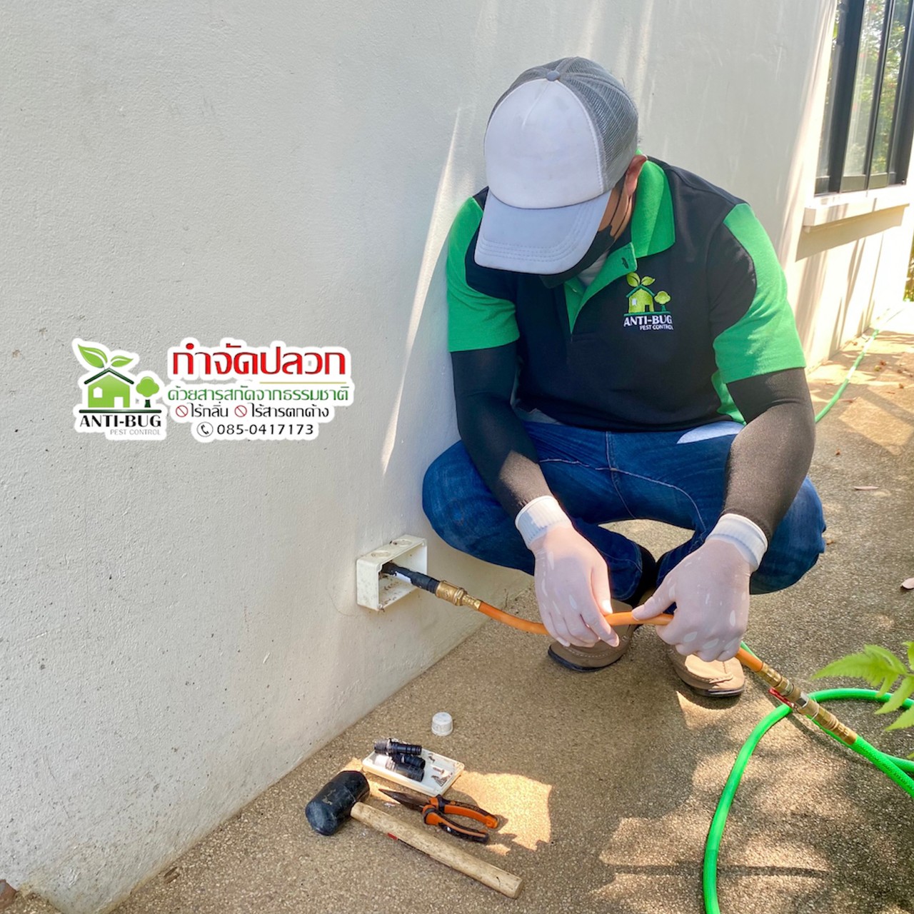 12 - https://antibuggroup.com | Anti-Bug Pest Control group -  หยุดปลวกร้าย ด้วยสารสกัดจากธรรมชาติ ด้วยประสบการณ์มากกว่า 10 ปี โดยใช้สารสกัดจากธรรมชาติ ไร้กลิ่นและสารเคมีตกค้าง ไม่เป็นอันตรายต่อผู้อยู่อาศัยและสัตว์เลี้ยงแสนรักของคุณ