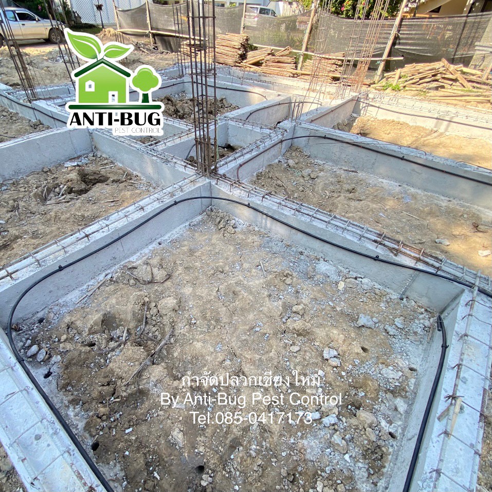 3 - https://antibuggroup.com | Anti-Bug Pest Control group -  หยุดปลวกร้าย ด้วยสารสกัดจากธรรมชาติ ด้วยประสบการณ์มากกว่า 10 ปี โดยใช้สารสกัดจากธรรมชาติ ไร้กลิ่นและสารเคมีตกค้าง ไม่เป็นอันตรายต่อผู้อยู่อาศัยและสัตว์เลี้ยงแสนรักของคุณ