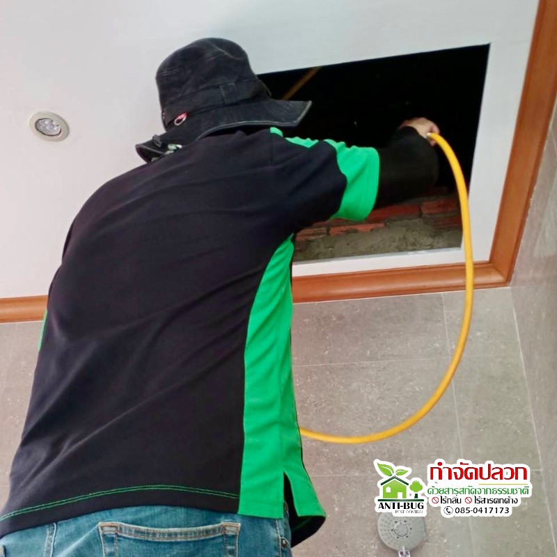 7 - https://antibuggroup.com | Anti-Bug Pest Control group -  หยุดปลวกร้าย ด้วยสารสกัดจากธรรมชาติ ด้วยประสบการณ์มากกว่า 10 ปี โดยใช้สารสกัดจากธรรมชาติ ไร้กลิ่นและสารเคมีตกค้าง ไม่เป็นอันตรายต่อผู้อยู่อาศัยและสัตว์เลี้ยงแสนรักของคุณ