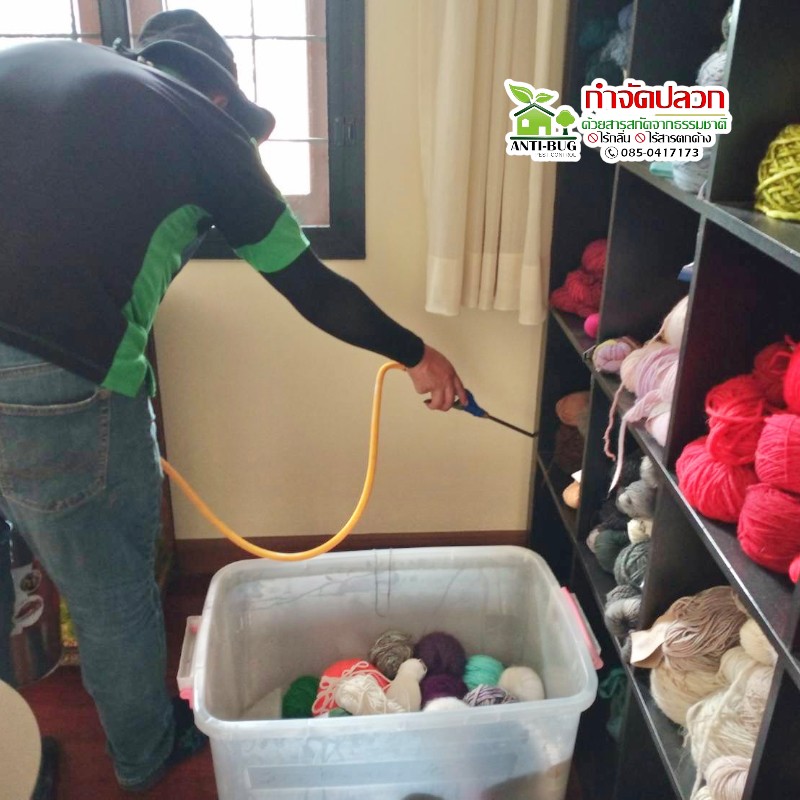 8 - https://antibuggroup.com | Anti-Bug Pest Control group -  หยุดปลวกร้าย ด้วยสารสกัดจากธรรมชาติ ด้วยประสบการณ์มากกว่า 10 ปี โดยใช้สารสกัดจากธรรมชาติ ไร้กลิ่นและสารเคมีตกค้าง ไม่เป็นอันตรายต่อผู้อยู่อาศัยและสัตว์เลี้ยงแสนรักของคุณ